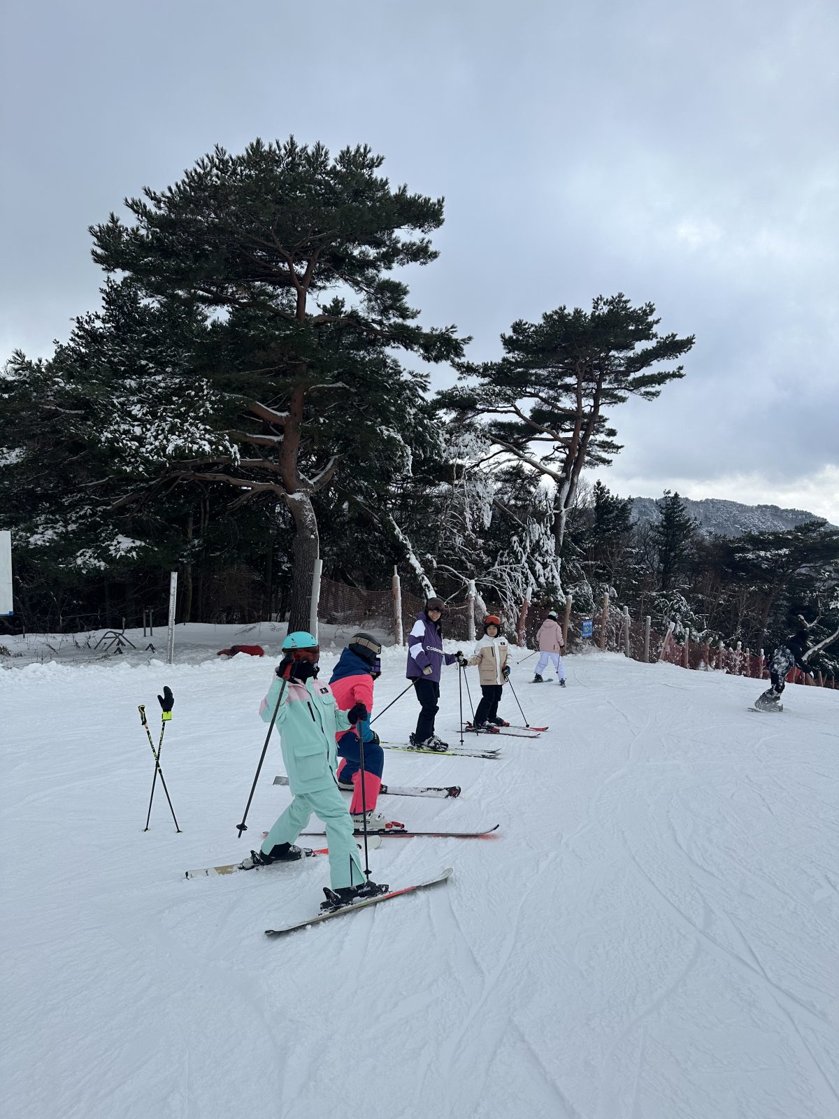 무주스키강습_20250102_223827715_03.jpg
